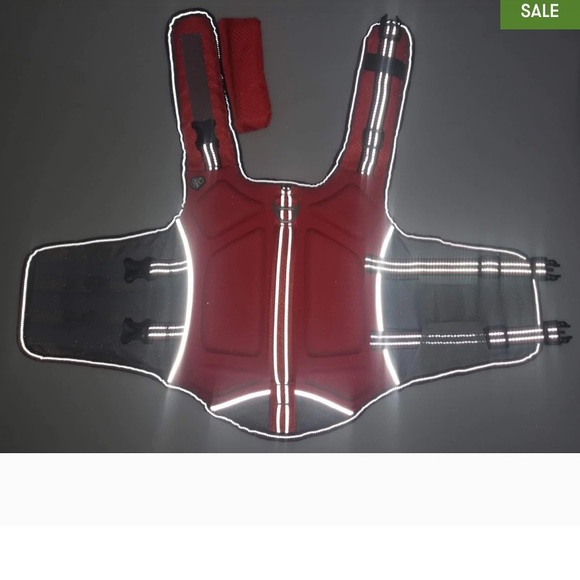 ❤️HOST PICK❤️ ‼️SOLD‼️ - Picture 7 of 12